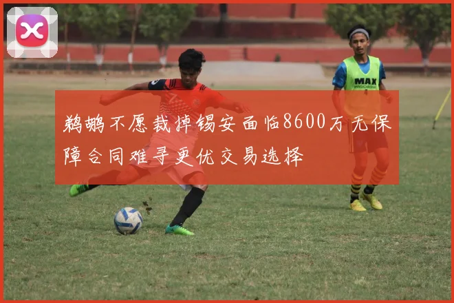 鹈鹕不愿裁掉锡安面临8600万无保障合同难寻更优交易选择