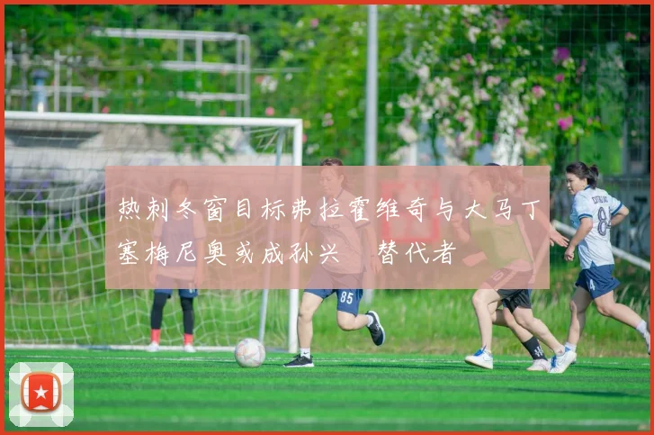 热刺冬窗目标弗拉霍维奇与大马丁塞梅尼奥或成孙兴慜替代者