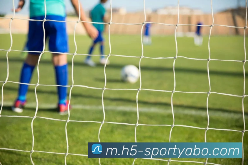 亚博体育服务体系