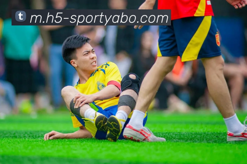 多媒体互动体验